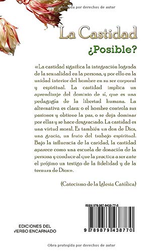 Castidad Posible