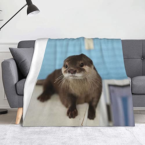 Couverture en flanelle loutre douce de qualité supérieure pour lit - 2