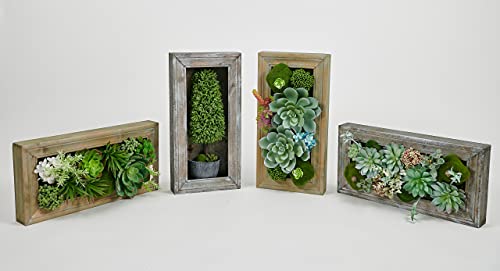 Room & Bloom Artificial Succulent Wall Art Flower Decor Kitchen Decorations Lounge Room Dining Room Picture 3D Living Room Floral Framed Fake Faux Hanging Succulents House Decor Green Hanger #TOP6