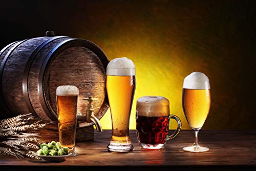 Circleware Downtown Pilsner Beer Drinking Glasses, Set Of 4 Home & Kitchen Entertainment Dinnerware Highball Glassware For Water, Wine, Juice And Bar Liquor Dining Decor Beverage, 19 Oz, Clear #TOP5