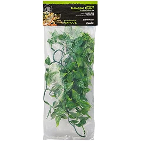 Komodo 40 cm Philodendron Plant for Reptiles Cover