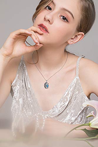 Flyow 925 Sterling Silver Cute Animal Hedgehog Hold Heart Cz Pendant Necklace Birthday Gift For Women Girls Daughter,18 Inch #TOP1