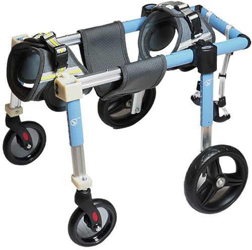 Carrito de movilidad para perros de 4 ruedas: paseos cómodos y activos al aire libre