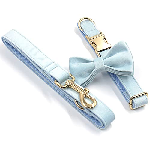Collar personalizado para perro PETDURO en azul cielo miniatura 5