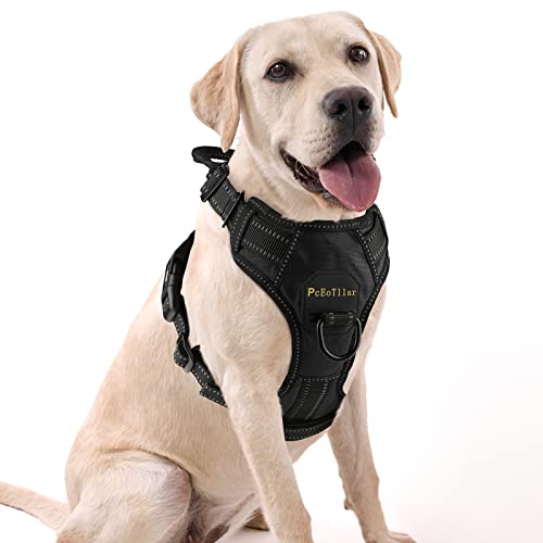 Top 10 Front Clip Dog Harnesses of 2022 Best Reviews Guide