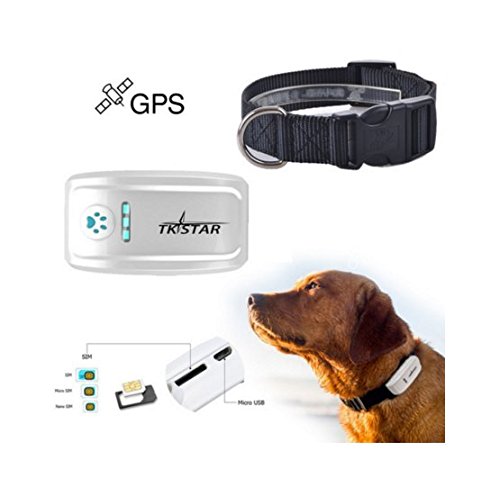 Traceurs GPS chien TKSTAR GPS localisateur Traceur chien avec collier en Temps Réel localisation chien pet Moniteur d'activité Anti-perdu avec une plate-forme de suivi en ligne gratuite TK909 (Noir)