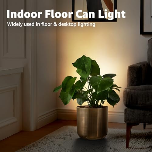 Image of SUNVIE 5W Up Lights Indoor 2700K Floor Can Light for Plant Corner, 2 PCS