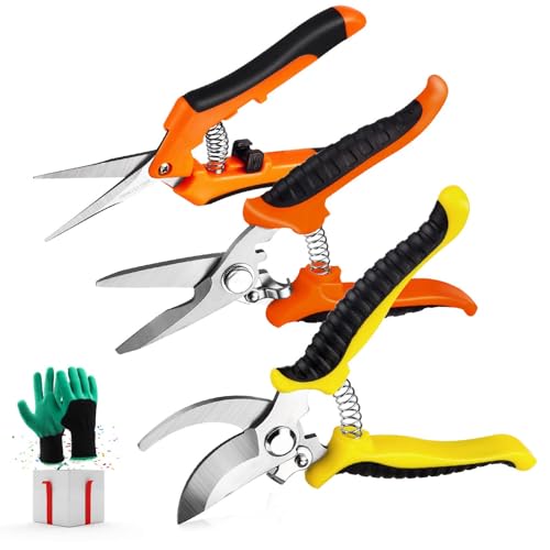 Best Hand Held Pruners: Top Picks and In-Depth Analysis