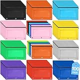 SpringFlower 100 Pack Pencil Pouch, Pencil Pouch for 3 Ring Binder with Smooth Zipper Pouch Bulk in 10 Assorted Colors, School and Office Supplies with Clear Window