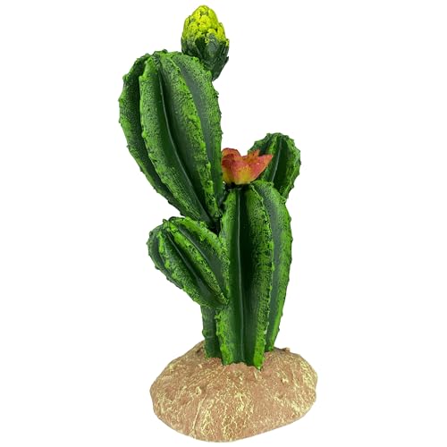 Multi Pet Komodo Cactus Flower