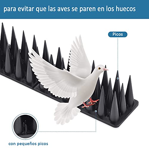 Imagen adicional