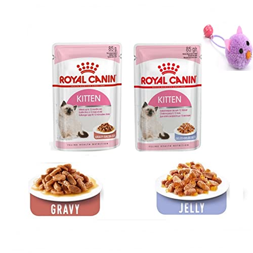 ROYAL CANIN Kitten in 1 BOX 12 x 85 gr. (Gravy 6 pouches + Jelly 6 pouches and Little Toy for kitten
