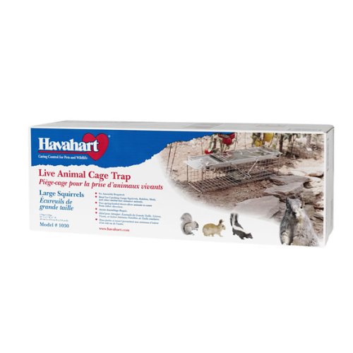 Havahart 1030 Live Animal Two-Door Rabbit, Squirrel, Skunk, and Mink Cage Trap - Thumbnail 2
