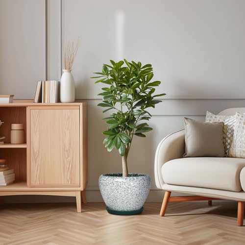 Thirtypot Ceramic Planter, 10 Inch Pots for Plants Indoor, Crackle Green by Thirtypot - Used condition - Image 6