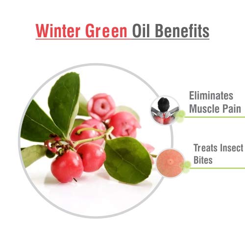 Image of Crysalis Wintergreen (Gaultheria Procumbens) Oil |100% Pure & Natural Undiluted Essential Oil Organic Standard|For Undiluted Therapeutic Grade |Aromatherapy Oil| For all Skin Types- 100ml with dropper