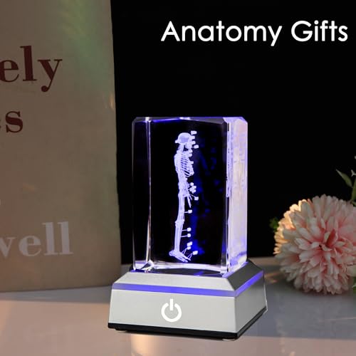 IFOLAINA Human Skeleton Model Body 3D Laser Crystal Skeleton System Each Bone with Name on a Colorful LED Light Base for Study Guide