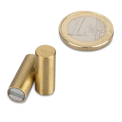 magnets4you Stabgreifer Magnet Ø 8 x 20 mm Messinggreifer mit Passung: h6 | Haftkraft: 2,2kg | Samarium-Cobalt-Magnet (SmCo) Toleranz h6 max. Temperatur 200°C anisotrop