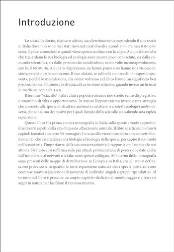 Lo Sciacallo Dorato In Italia - 5