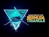 Monsters of the Bermuda Triangle