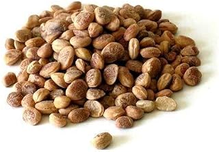iqra Charoli/ Chironji/Buchanania Lanzan (100 Gms)