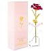 BEFINR 24K Gold Rose Artificial Forever Flowers with Heart-Shaped Stand Best Gifts for Friend Girl Wife Women Her for Valentine's Day Thanksgiving Mother's Day Birthday (Pink)