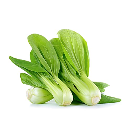 50 Baby Bok Choy S.e.e.ds, Chinese Cáº¡bbáº¡gáº¹, Cáº¡bbáº¡gáº¹ S.e.e.ds