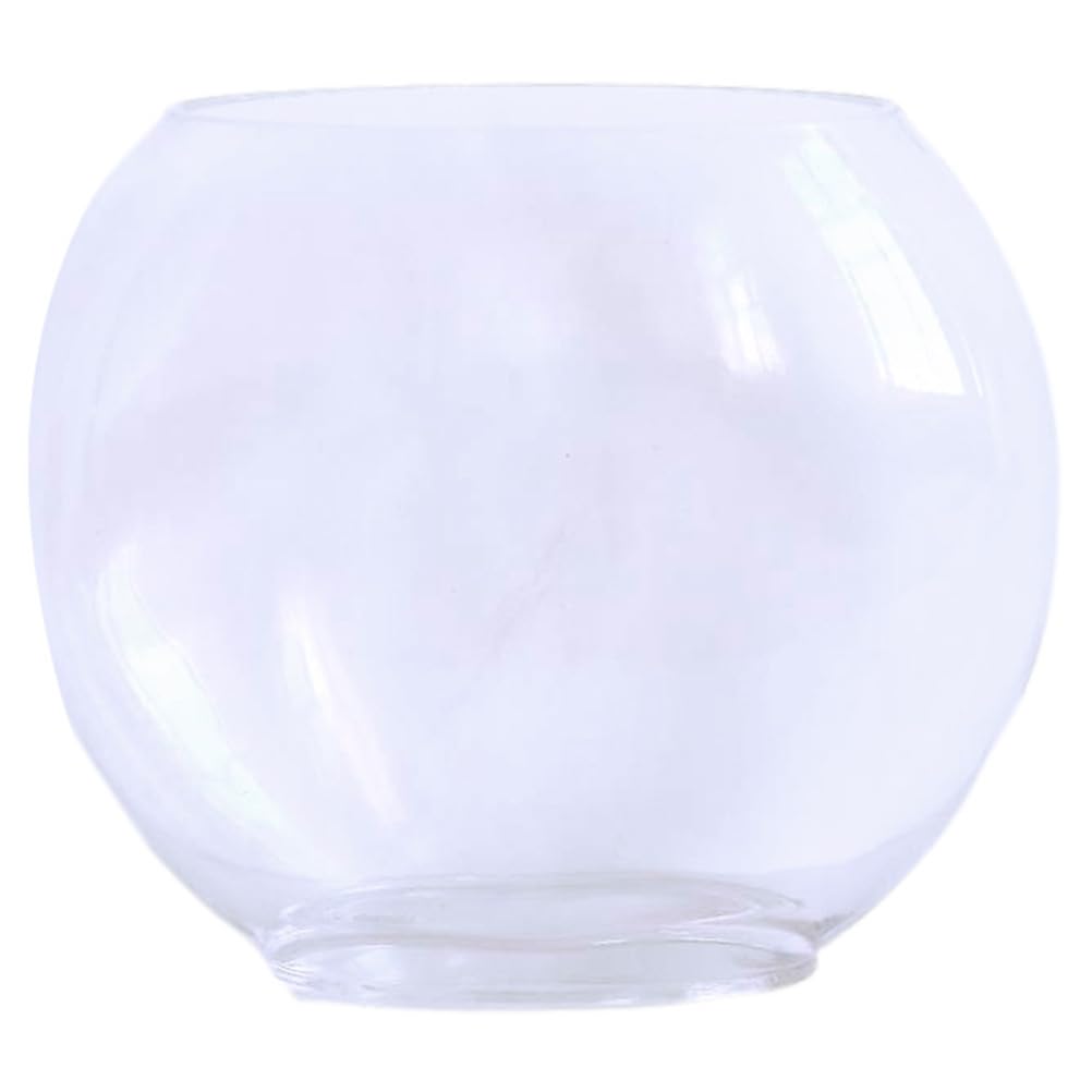FRCOLOR Aquarium en Verre Transparent Réservoir De Poisson Rouge Multifonction 9.84X7.87X2.95 in pour Décoration Maison Bureau Fleurs Et Plantes 1 Pièce