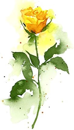 Amazon.com: Yellow Rose Floral Watercolor Art Print By Artist Dj Rogers: Posters & Prints