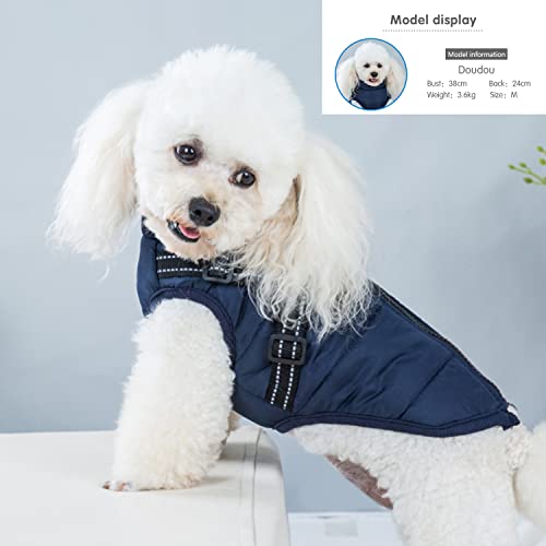 Ectkuee Hundejacke Winterweste Mit Geschirr, Wasserdichter Hundemantel für Kleine Hunde, Maschinenwaschbar, Reflektierender Streifen, Haltbarer D-Ring (Blue-M)