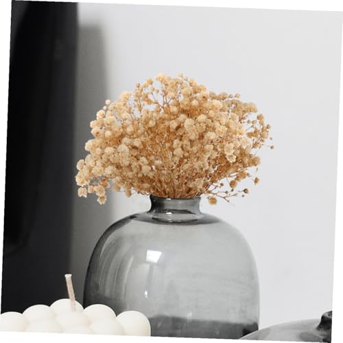 Ramo de 6 flores secas naturales de Babys Breath miniatura 3