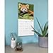 Red Pandas: 12x12 Wall