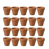 Mini Blumentopf Pflanzgefäße für Innen - Lanter Kaktus Blumentöpfe perfekt für Kräuter, Hochzeits- oder Babypartybevorzugungen, Kunsthandwerk und mehr.