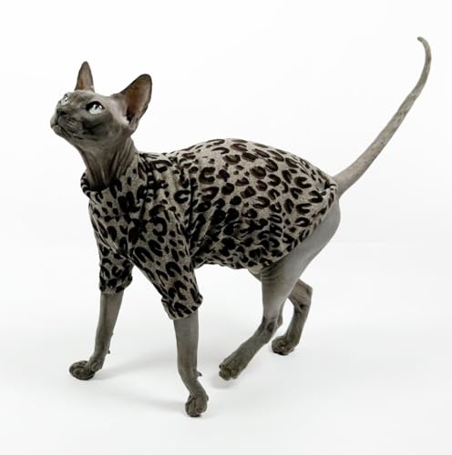 UGYMSIA ybgADevon RexASphynxAOh[AqLAtƉẴX^CAт̂ȂL̕AGARt̕Ax[X̃VcAqEA_炩KALk (XL)