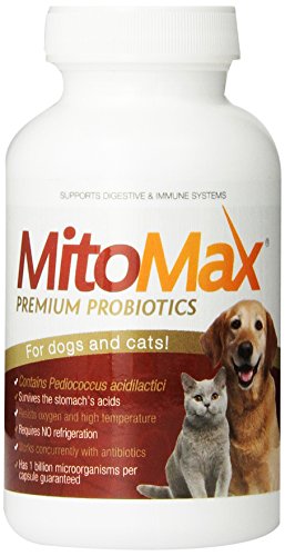 Imagilin Technology, LLC MitoMax-Premium probiotics for Dogs and Cats, 100 Capsules per Bottle