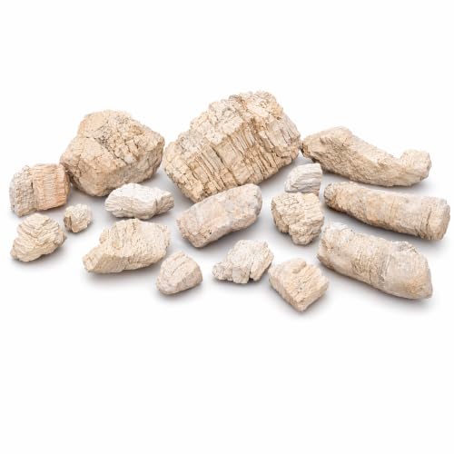 Vetin 1000g Drachenstein Aquarium Steine, natürliche Deko Steine 5-30cm
