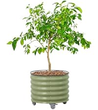 Small manufacture image 4