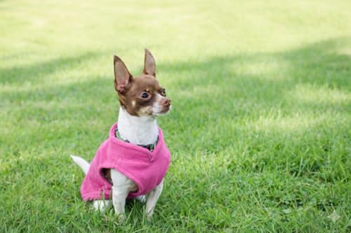 Image of JACKO & CO - Fleece Vest Dog Sweater with Leash Ring - Soft, Warm & Lightweight Pullover Coat for Small & Medium Dogs, Puppies & Cats - Cozy Fall /Winter /Spring Pet Jacket (Pink, Small 4-6lbs)