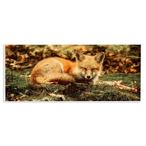 Sleeping Fox Kit Forest Floor, 7 x 17 Inch Mounted Print on Wall Plaque
