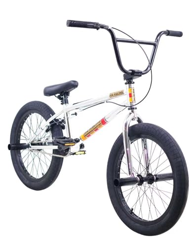 R4 BMX Complete Bike 20 Inch Stunt Pro Bicycle Sealed Hubs Freestyle Youth/Adult with Pegs, Chrome