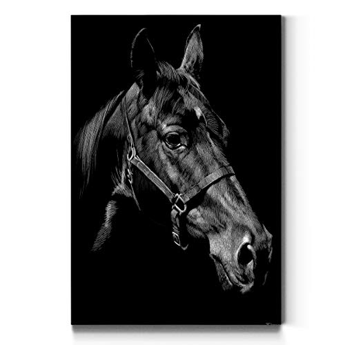 Renditions Gallery Portrait Style Canvas Wall Art: Animals, Show Dogs, Bird, Fish, Riding in Saddles, Horses, Sketches & Modern Abstract for Home & Office, Ready to Hang - Bernie 8X12