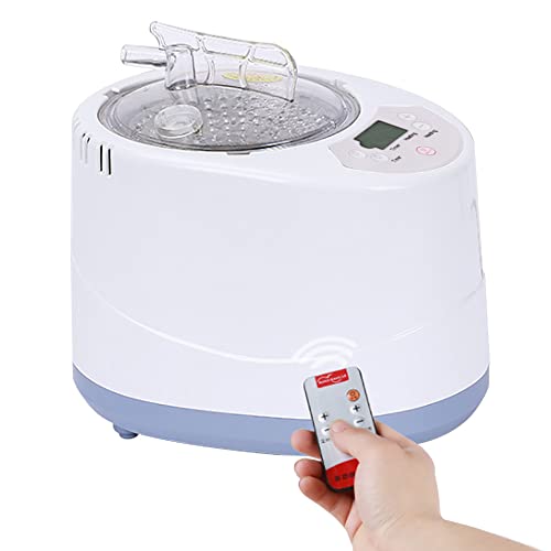 Generador de vapor para sauna, 3 L, con temporizador, cabina de sauna, generador de vapor, 9 niveles de temperatura para saunas, salones de belleza, saunas domésticas, 1000 W