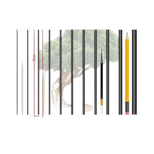 Fil d'entraînement pour bonsaï Fil de fer en aluminium for bonsaï, 500 g, 1,0/1,5/2,0/2,5/3,0/3,5/4,0/5,0/6,0/7,0/8,0 mm, for la formation des plantes(2.0mm Black)