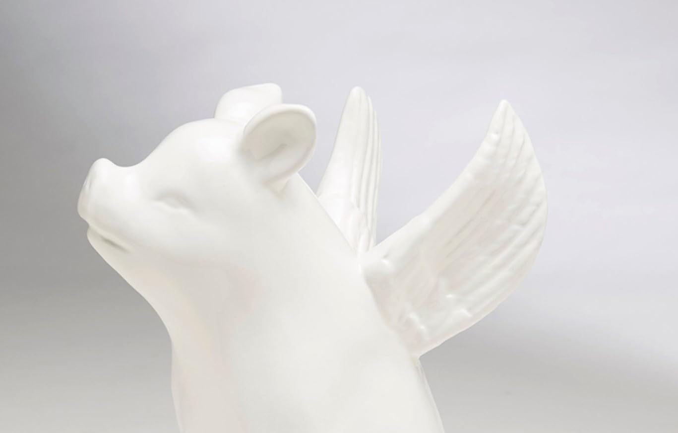 Amazon.com: AA Importing Ceramic Sitting Pig with Wings, White