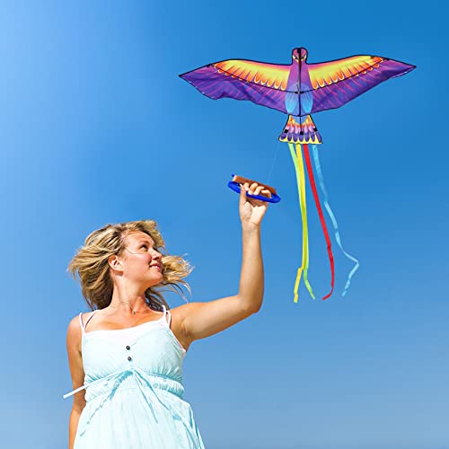 Mint’s Colorful Life Large Phoenix Bird Kite For Kids Adults, Easy To Fly Single Line Beach Kite, Comes With Kite Handle And 300Ft String #TOP2