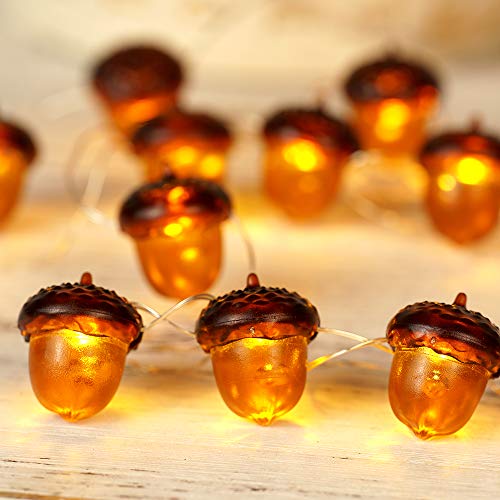 Acorn Fairy Lights with Timer