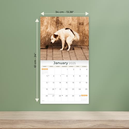 Calendário engraçado de parede 2025 Oh Crap Pooping Dogs Deluxe | Presente de mordaça | 30,5 cm x 33