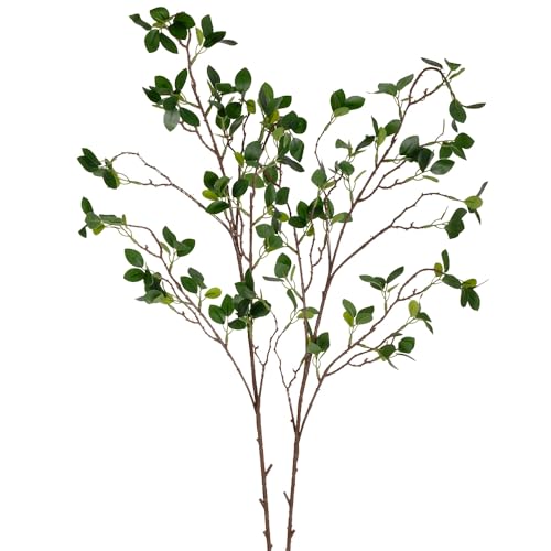 SLanC 2Pcs Artificial Stems Faux Branches for Vase 43 inch Greenery Stems for Vase for Home Party Wedding Decoration (2 Greenery)