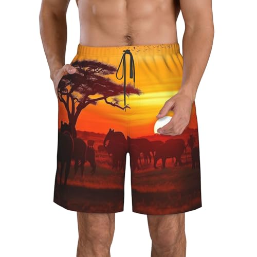 African Animal Sunset Men's Swim Trunks Quick Dry Board Shorts with Pockets Casual Drawstring Beach Shorts