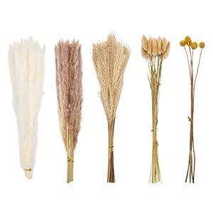 Dried Pampas Grass Boho Decor – 85 Pieces 17.5″ Natural Fluffy Dried Flowers for DIY Decor Birthday Contains Pampas Grass & Pampas Flower & Reed Grass & Bunny Tail Grass & Craspedia