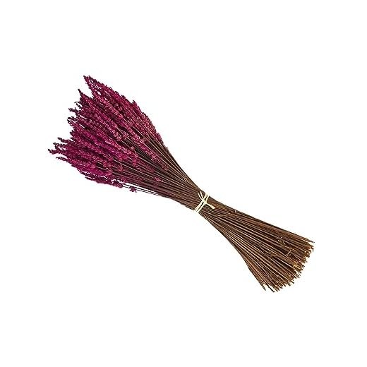 Lavanda Experience Ramo de Lavanda preservada (Ramo Malva)